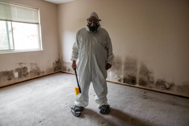 Best Office Mold Removal Services  in Fredonia, AZ
